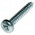 Self Tapping Screws