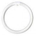 Circular Fluorescent Tubes