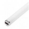 T12 Fluorescent Tubes