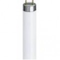 T8 Fluorescent Tubes