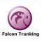 Falcon Trunking