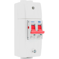 BG 100A DP Main Switch c/w Enclosure
