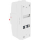 BG 100A DP Main Switch c/w Enclosure BG 100A DP Main Switch c/w Enclosure