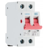 BG 100A DP Pole Main Switch