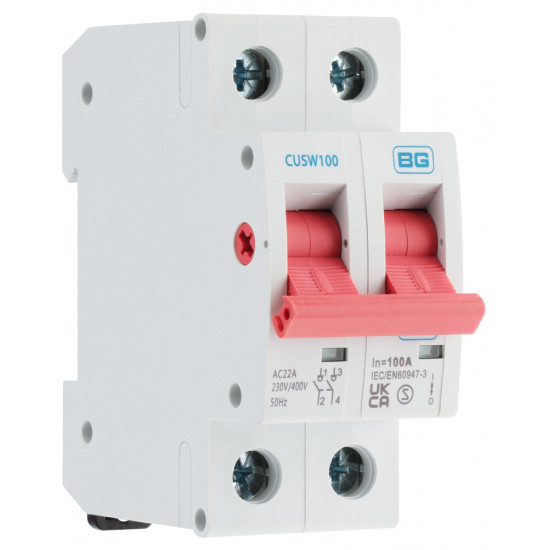 BG 100A DP Pole Main Switch