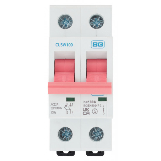 BG 100A DP Pole Main Switch
