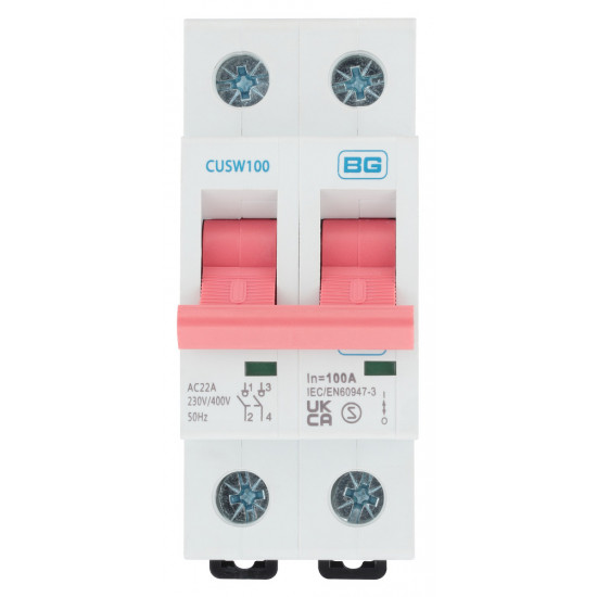 BG 100A DP Pole Main Switch BG 100A DP Pole Main Switch