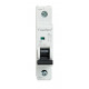 Fusebox 40amp SP MCB B Curve Fusebox 40amp SP MCB B Curve