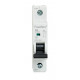 Fusebox 6amp SP MCB B Curve Fusebox 6amp SP MCB B Curve