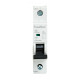 Fusebox 6amp SP MCB C Curve Fusebox 6amp SP MCB C Curve