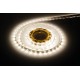 INT 24v LED Strip 5m CW (10.5w/m) INT 24v LED Strip 5m CW (10.5w/m)