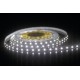 INT 24v LED Strip 5m DL (10.5w/m) INT 24v LED Strip 5m DL (10.5w/m)
