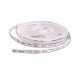 INT 24v LED Strip 5m DL (10.5w/m) INT 24v LED Strip 5m DL (10.5w/m)