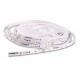 INT 24v LED Strip 5m WW (10.5w/m) INT 24v LED Strip 5m WW (10.5w/m)
