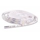 INT 24v LED Strip 5m WW (10.5w/m)