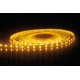 INT 24v LED Strip 5m WW (10.5w/m)