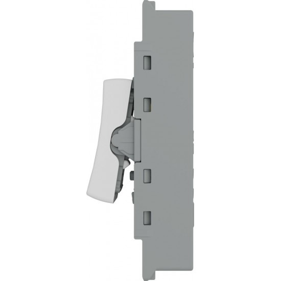 BG Grid Lite Moulded 20A 2Way Module