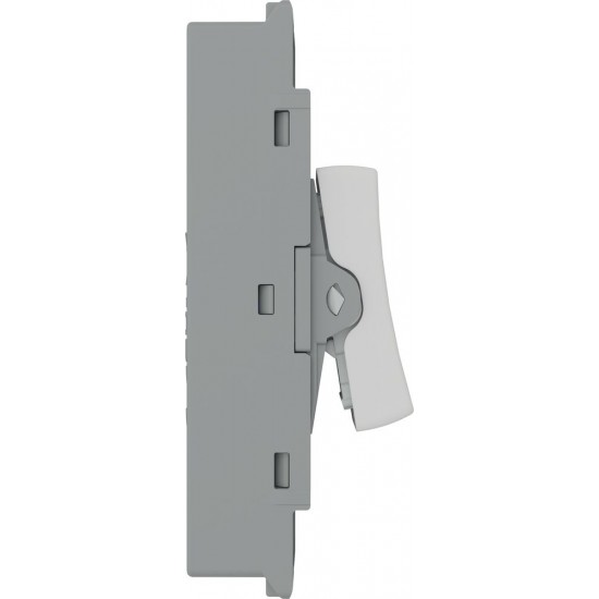 BG Grid Light Moulded 20A Intermediate Module