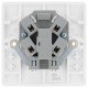 BG Nexus Unswitched Spur/LED (856)