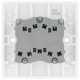 BG Nexus 3G 2W Switch (843)