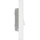BG 2G 2W Switch (942) BG 2G 2W Switch (942)