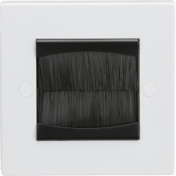 1G (2 Module) Brush Plate