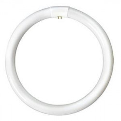 16 Inch 40watt Circular Flos Tube Cool White