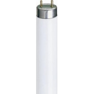 T8 60 Inch 58w T/P Flos.Tube (5ft) Cool White