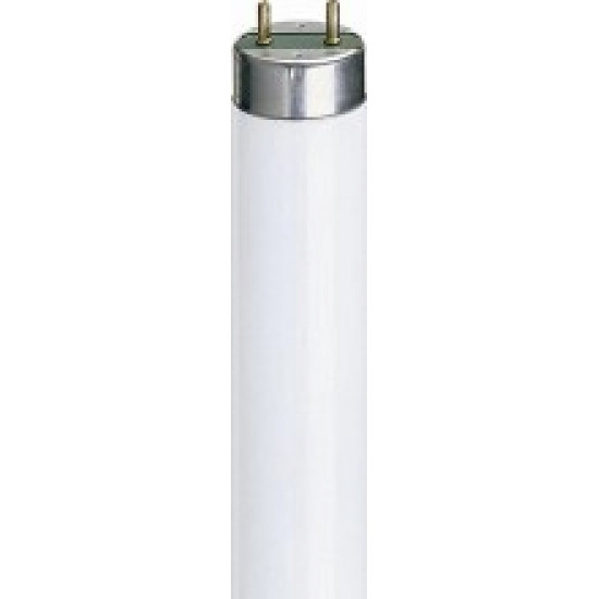 T8 36 Inch 30w T/P Flos.Tube (3ft) Cool White