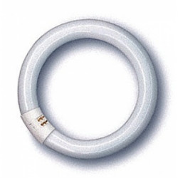 8 Inch 22watt Circular Flos Tube Cool White