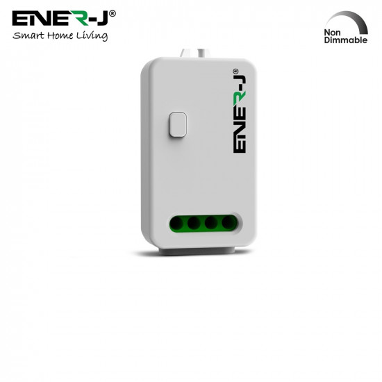 Ener-J Non Dimmable RF Reciever