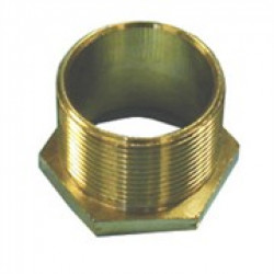 Brass Bush 2 Inch